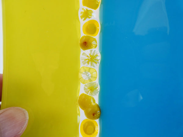 Fused Glass Murrini Plate in Yellow and Cyan Blue
