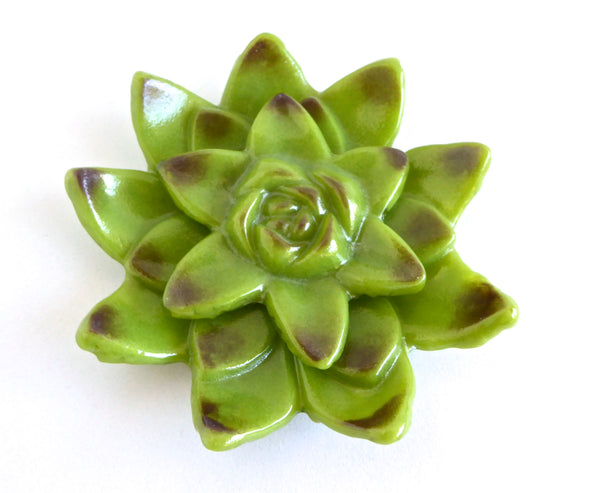 Green and Plum Fused Glass Succulent Dish
