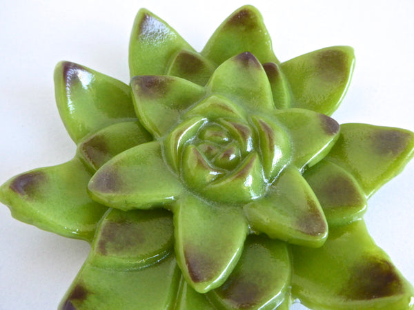 Green and Plum Fused Glass Succulent Dish